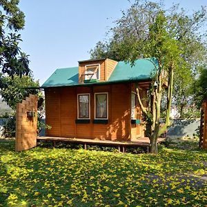 Mini House Park