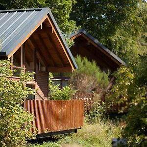 Deerpark Cabins, Cornwall - Forest Holidays
